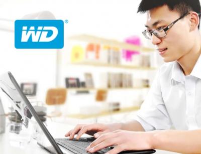 WD Green PC SSD