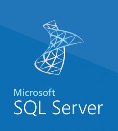 MICROSOFT SQL Server Standard Core 2017 SNGL OLP NL 2 License