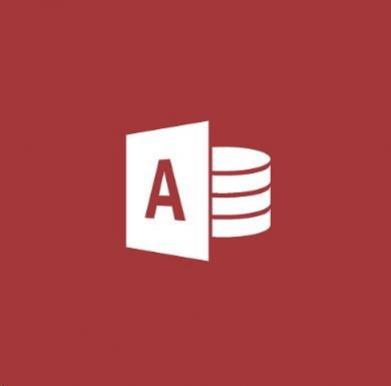 MICROSOFT Access 2019 OLP NL