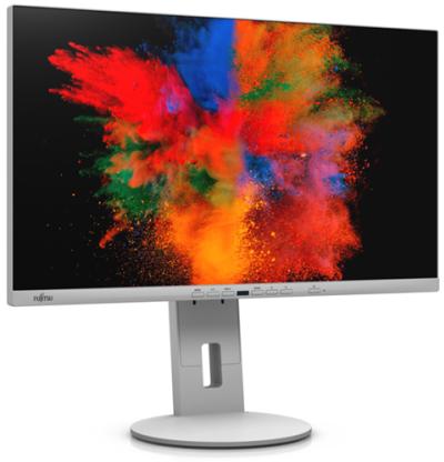 FUJITSU B2410 TE  23,8"
