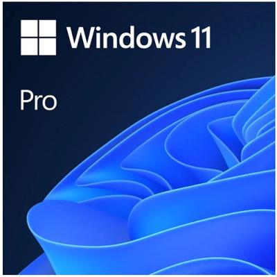 MICROSOFT Windows 11 Pro 64bit SK OEM DVD