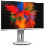 FUJITSU B2410 TE  23,8"